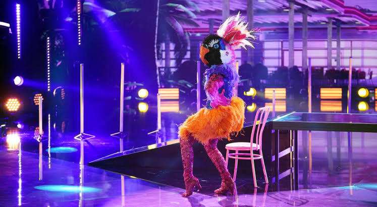 Identity of Exotic bird Revealed in “The masked dancer”