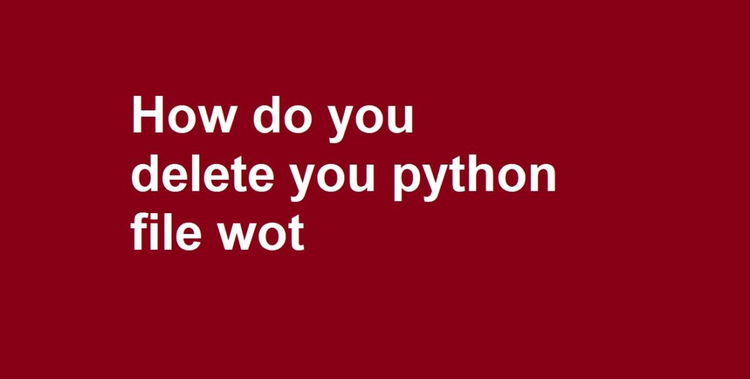 How do you delete you python file wot