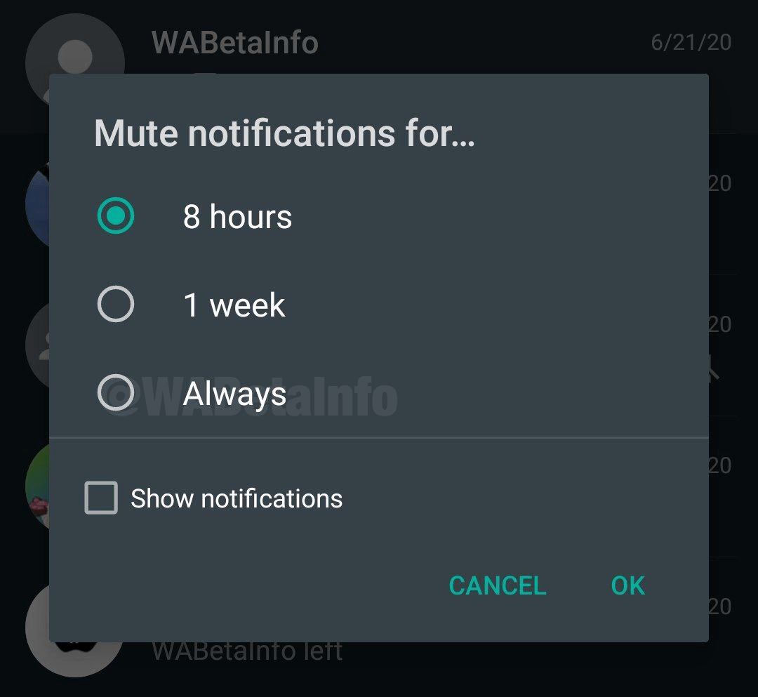 Permanently mute notifications as a part of upcoming WhatsApp features