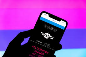 TikTok Rival Triller Explores Deal To Go Public