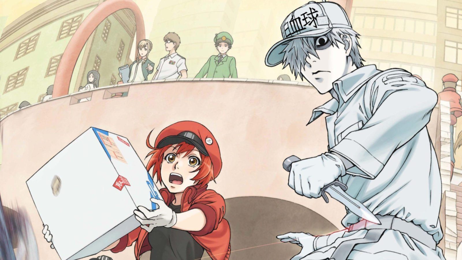 Our favorite characters from season one will be coming back in Cells At Work season two.