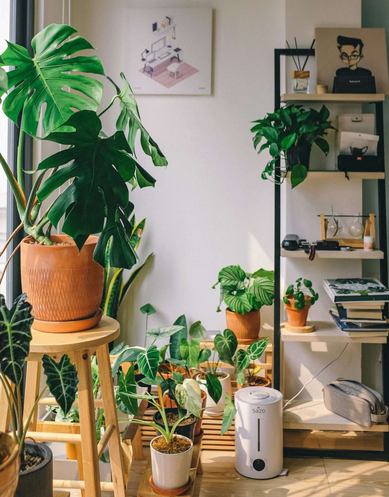 Becoming a plant parent
