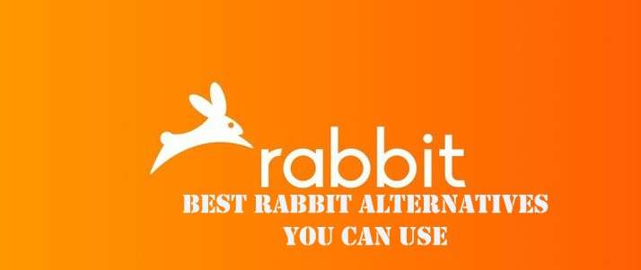 Rabbit alternatives you can use.