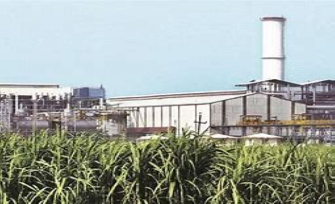 Top 10 sugar mills in India, which make them the 10 greatest sugar makers