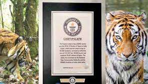 2018 Tiger Census in Guinness Book